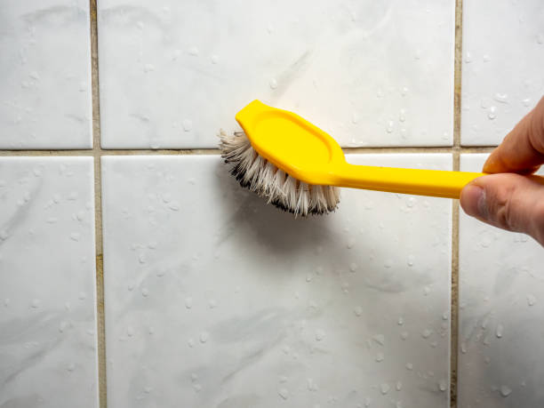 Grissom Af, IN Mold Removal Pros