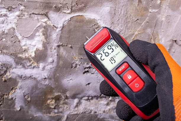 Best Mold Removal Near Me  in Grissom Af, IN