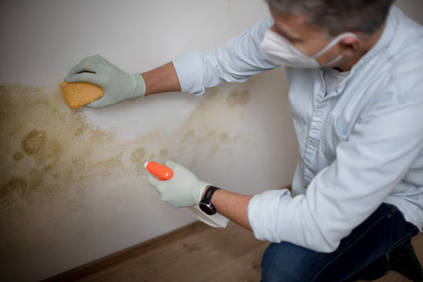 Best Water Damage Restoration  in Grissom Af, IN