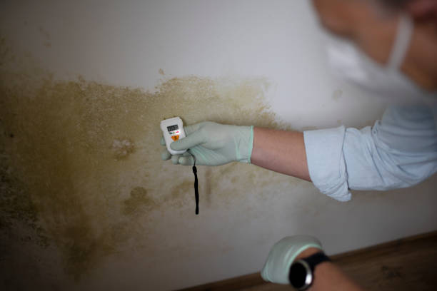 Certified Mold Removal in Grissom Af, IN